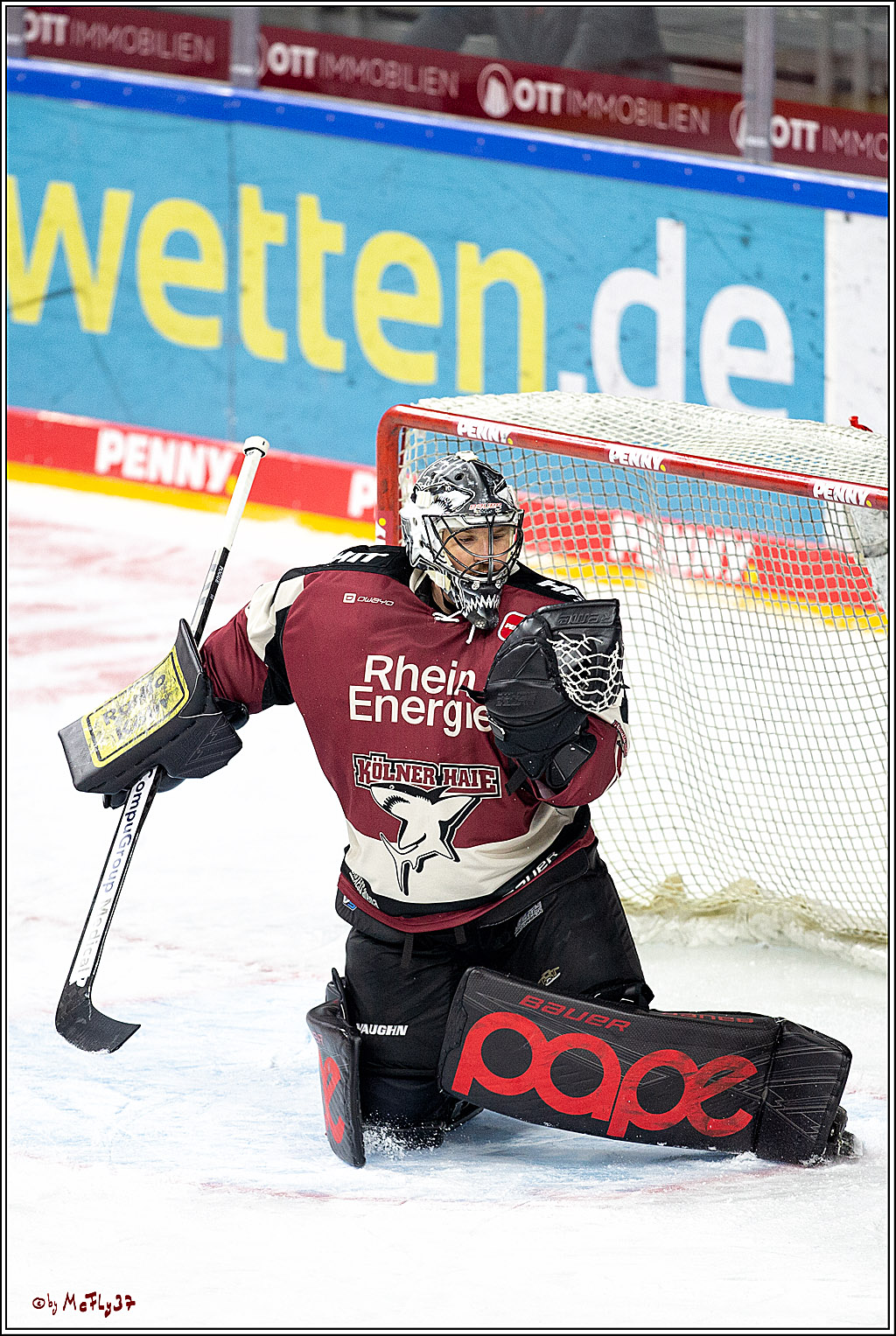PENNY DEL;  Koelner Haie - Duesseldorfer EG ; Koeln, 17.12.2020